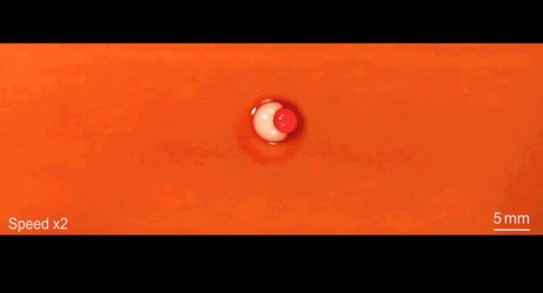 TechSciReport's tweet image. A multi-functional, multi-scale, reconfigurable surface
seas.harvard.edu/news/2018/06/m…