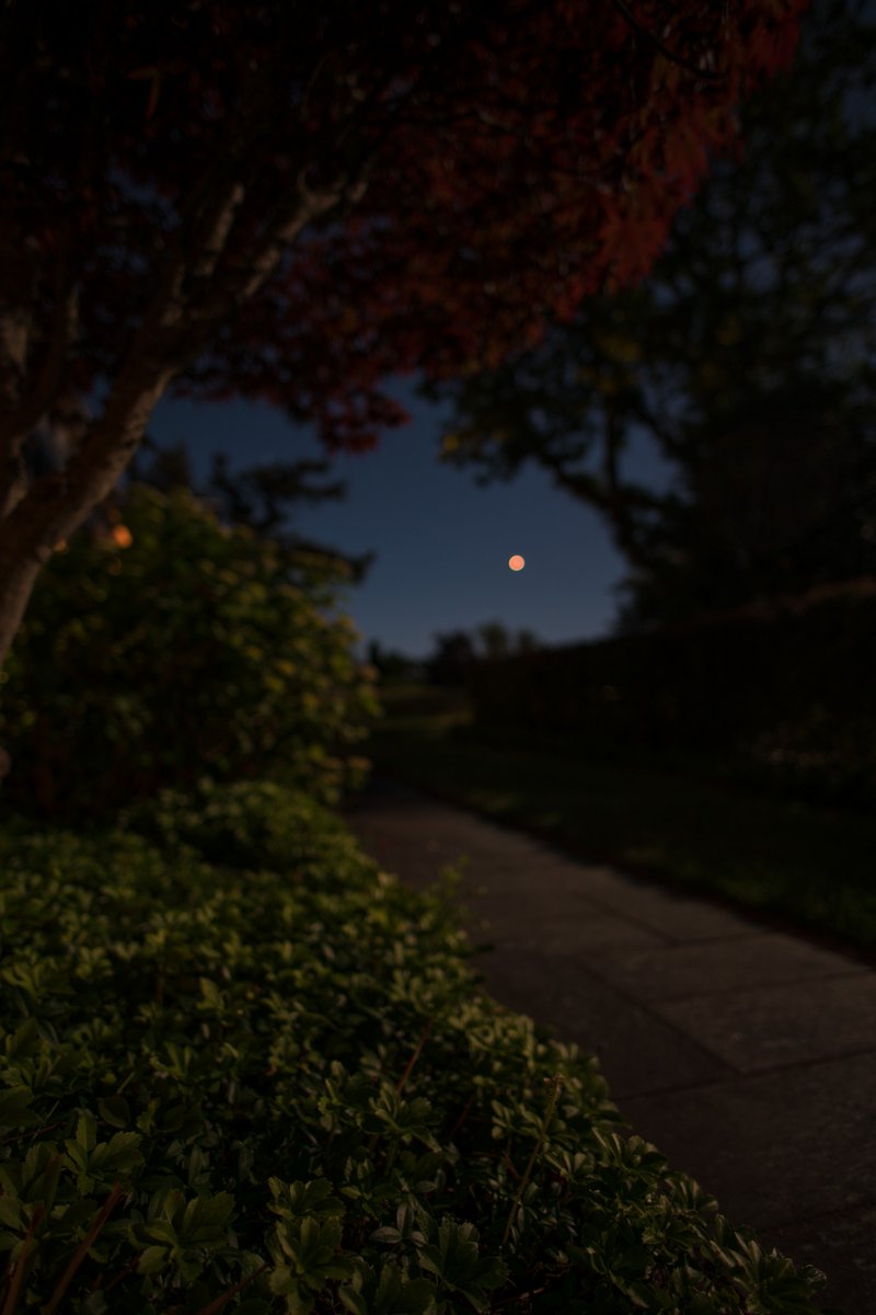 Nathan Anderson tweet media