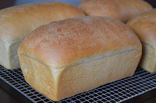 FatherTKitchen's tweet photo. Best thing since Online #Banking?  Online #Baking: https://t.co/NbEQE5fccs #dadjokes #organic #bread #online #fathertime https://t.co/LeJSyCRwxU