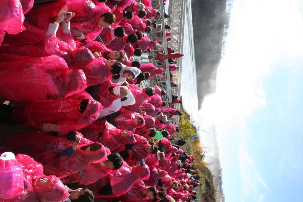 CruiseNiagara's tweet photo. Love this blog from @jerseykids on how to visit Niagara Falls, Canada with kids! READ NOW! https://t.co/pBm4gN48XK https://t.co/bqXgue7HbR