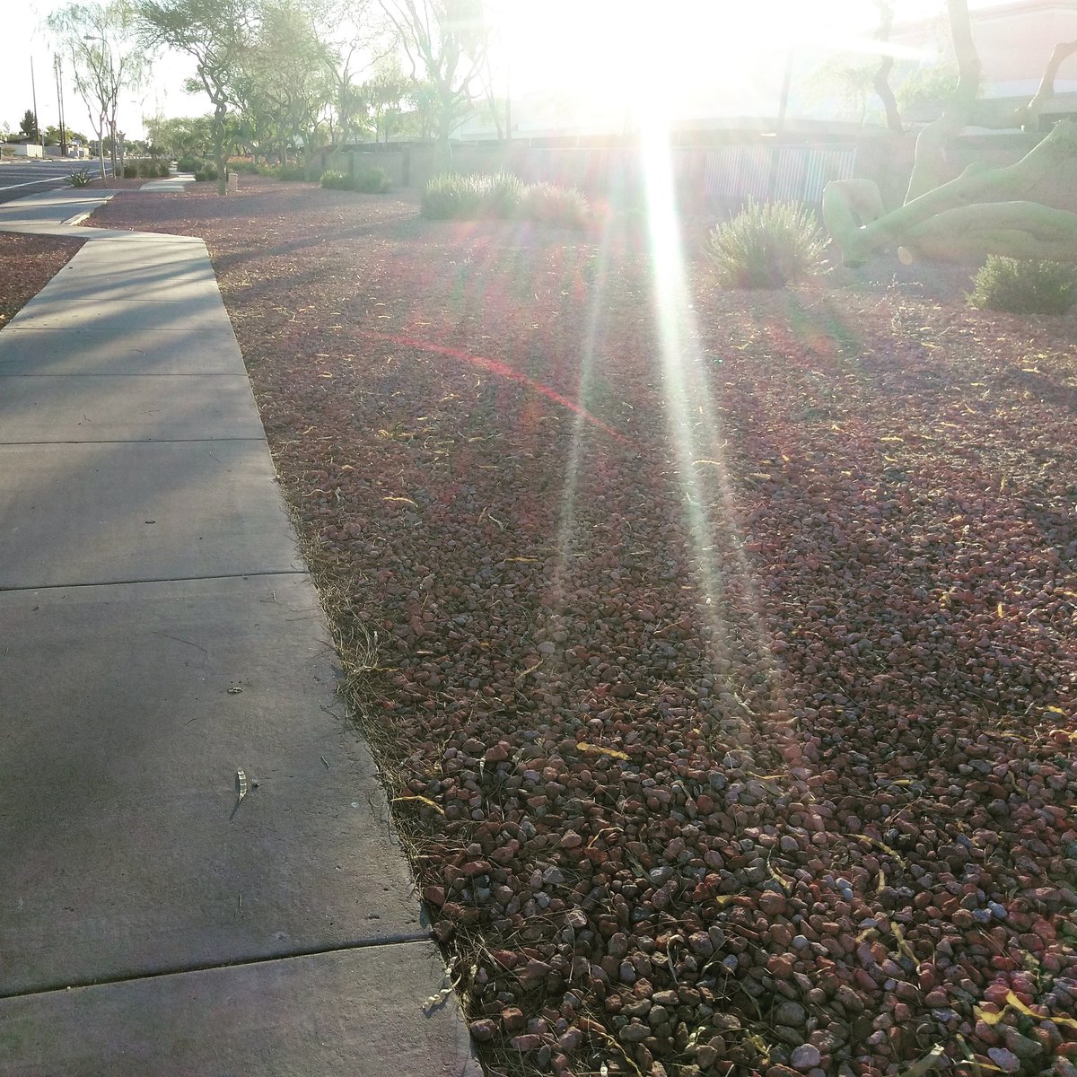 VelcorianGames's tweet image. #workout #sweatpants #getyoursweaton #getfit #Bodysculpting #bodyburnout #bodybuilder #bodybuilding #absworkout #squats #deadlift #latinas #latino #freewieghts #fitness #fitnessmotivation #motivation #stationary #bike #squat #legs #legdayworkout #Az #phoenix
#local #nordstromrack