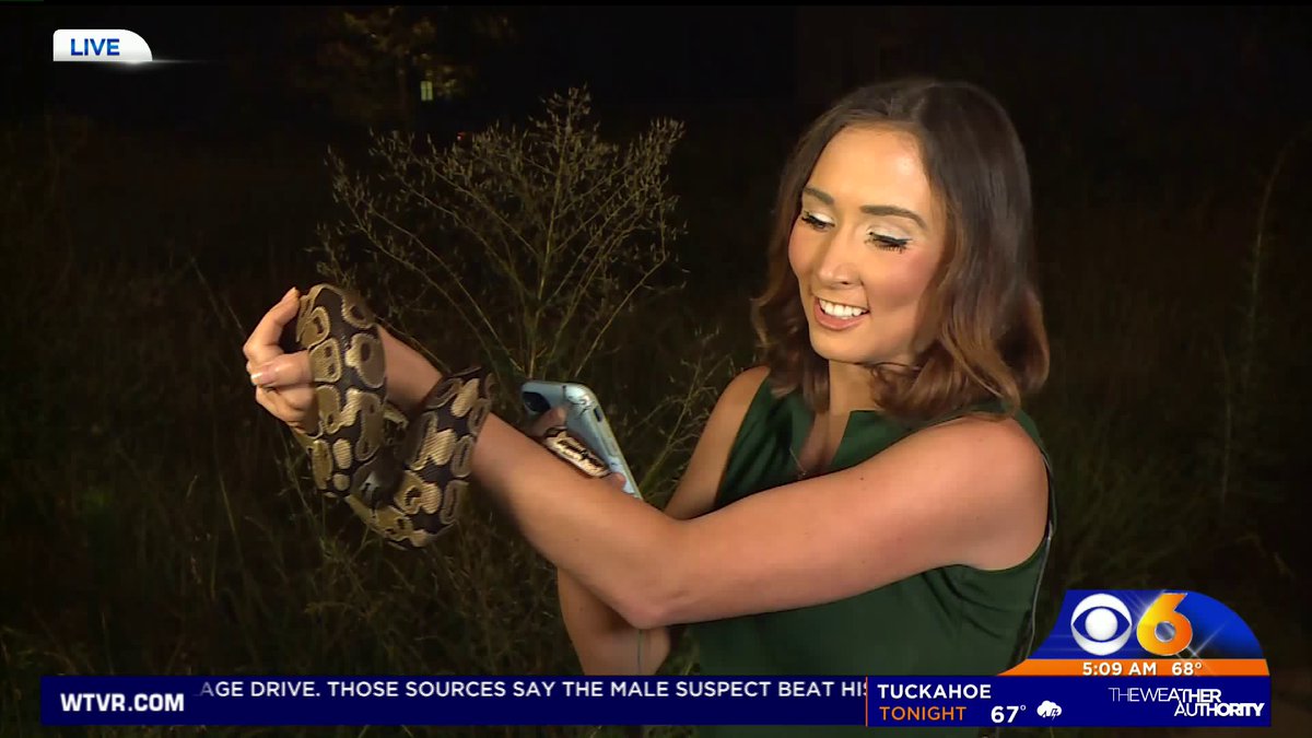 NikkiDeeRay's tweet photo. It is summer and snakes are out... @ShannonLillyTV has all the details to keep you and your family safe.  @JasonHicksCBS6 @CBS6 #RVA #VA #NNK #Hanover #Henrico #Chesterfield #Farmville #Ashland #Goochland #CarolineCounty #Lousia #Warsaw #Petersburg https://t.co/ML25rRJaoh