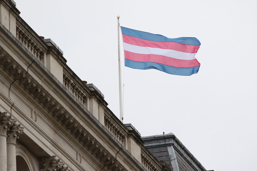 writetransqueer tweet picture