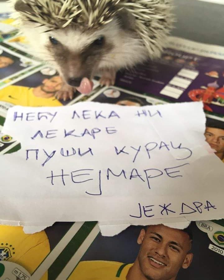 Slika