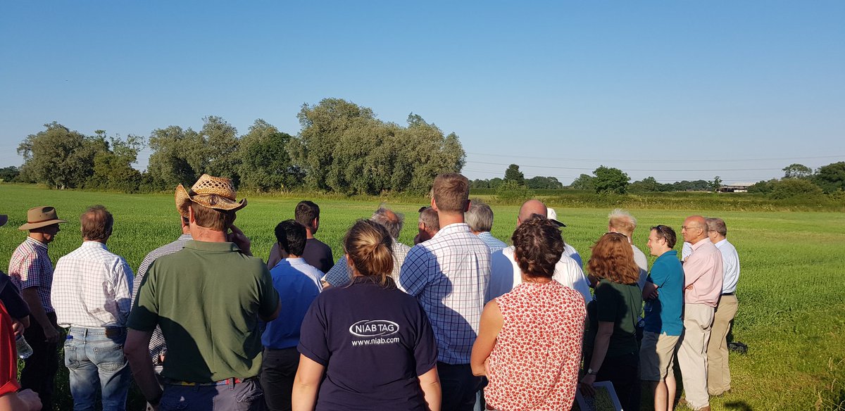 Jon Greenman tweet media