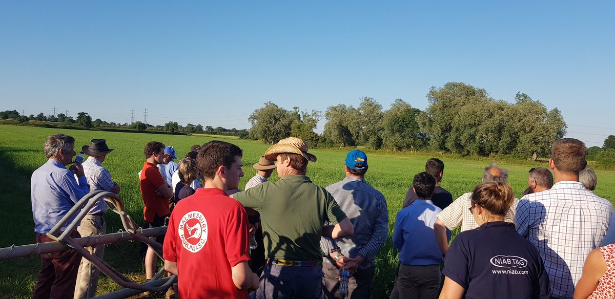 Jon Greenman tweet media