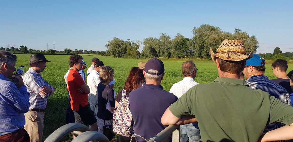 Representing <a href="/TimacAgroUK/">Timac Agro UK</a> at a very interesting #ahdb summer meeting at our Malmesbury #monitorfarm last evening. Reviewing the last year at Lower Odd Farm, sharing ideas and experiences in what has been a challenging year so far.
Thanks to <a href="/loweroddfarm/">Roger Wilson</a> &amp; <a href="/Cereals_SW/">Jason Hendy</a>