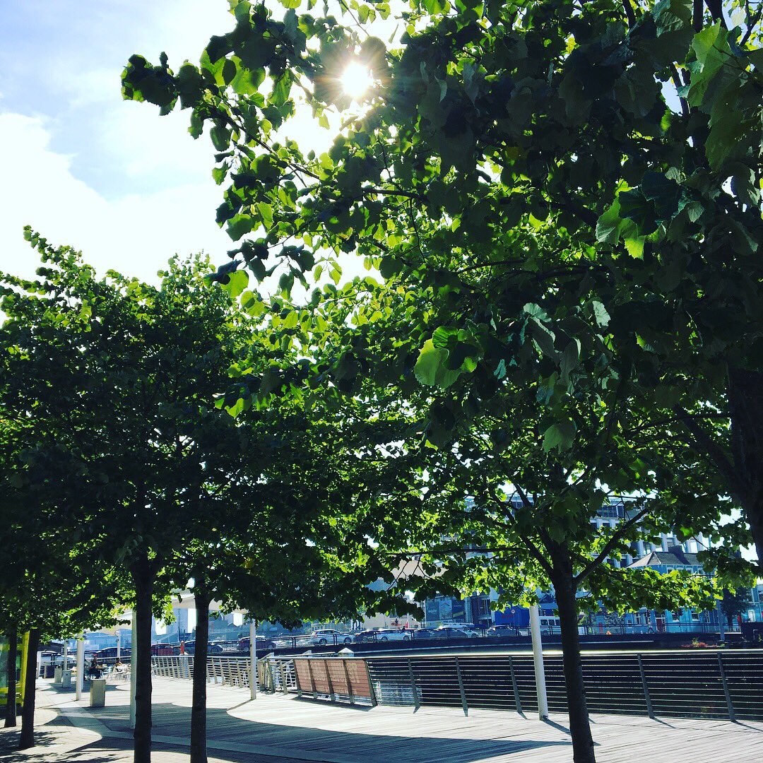 Orla_Clancy's tweet photo. Beautiful morning for a client #photoshoot and #videoshoot in #Cork! 🙌👌☀️🤳📸🎥 #AMOSullivanPR #PR #OrlaClancy https://t.co/dFusUb4pDR
