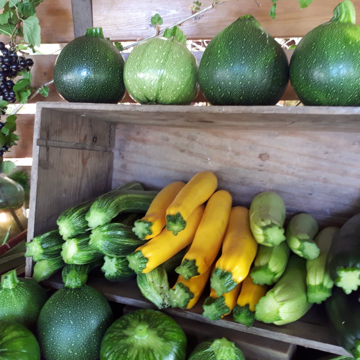 De eerste courgettes liggen in de winkel , een overvloed aan bessen en nieuwe oogst aardappelen!