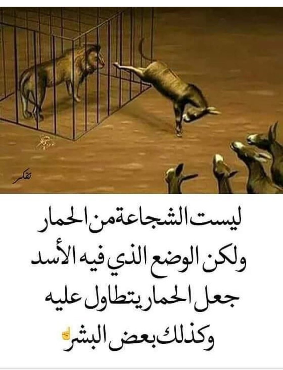 mimo220022's tweet image. 