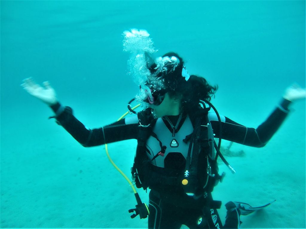 diving_seals's tweet photo. have you ever wonder what it feels like to breath #underwater❓
now it's the right time to find out at @diving_seals❗
 #sealsdivingcenter #scubadiving #tryscubadiving #divinggirl #sea🌊 #trysomethingnew #explorescubadiving #underwaterphotography📷 #padi #Greece🇬🇷 https://t.co/B64mwMZe4f