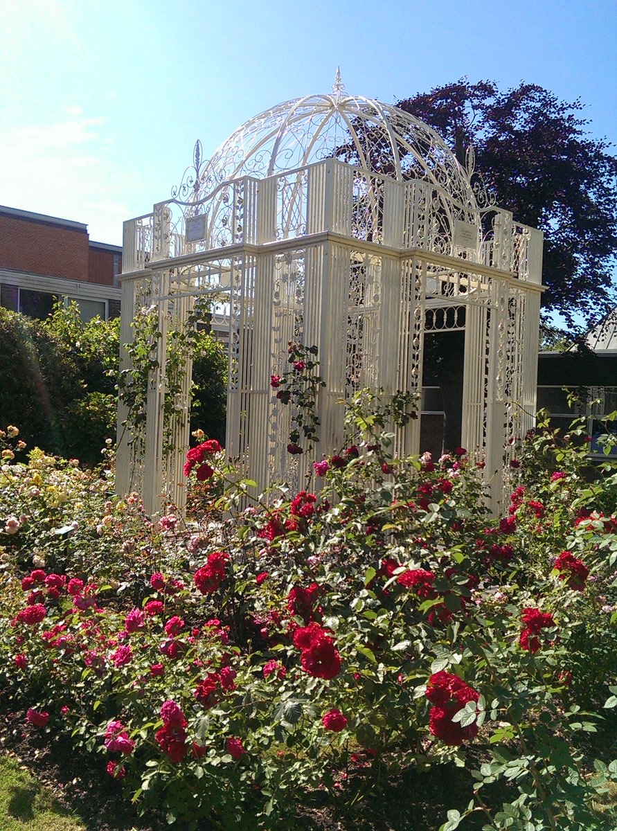 HopeUKEnglish's tweet photo. What a glorious day for our Open Day @LiverpoolHopeUK ! English Department talks are in AJB059 at 11am and 1pm. Don't forget to visit our literary rose garden across from the room which is looking beautiful at the moment! #proudtobehope #hopenday https://t.co/B54hDRlJU6