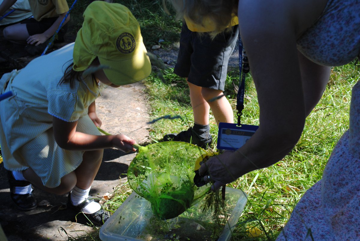 CKISGreenClas's tweet photo. Pond dipping before the sun gets too strong:  What did we find in this habitat? https://t.co/xF3PElEh5T