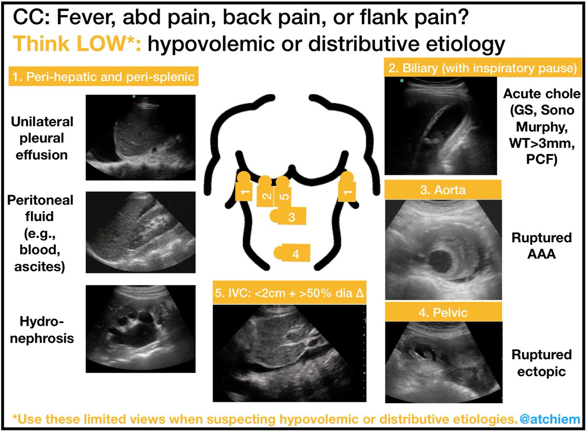 Alan Chiem tweet media