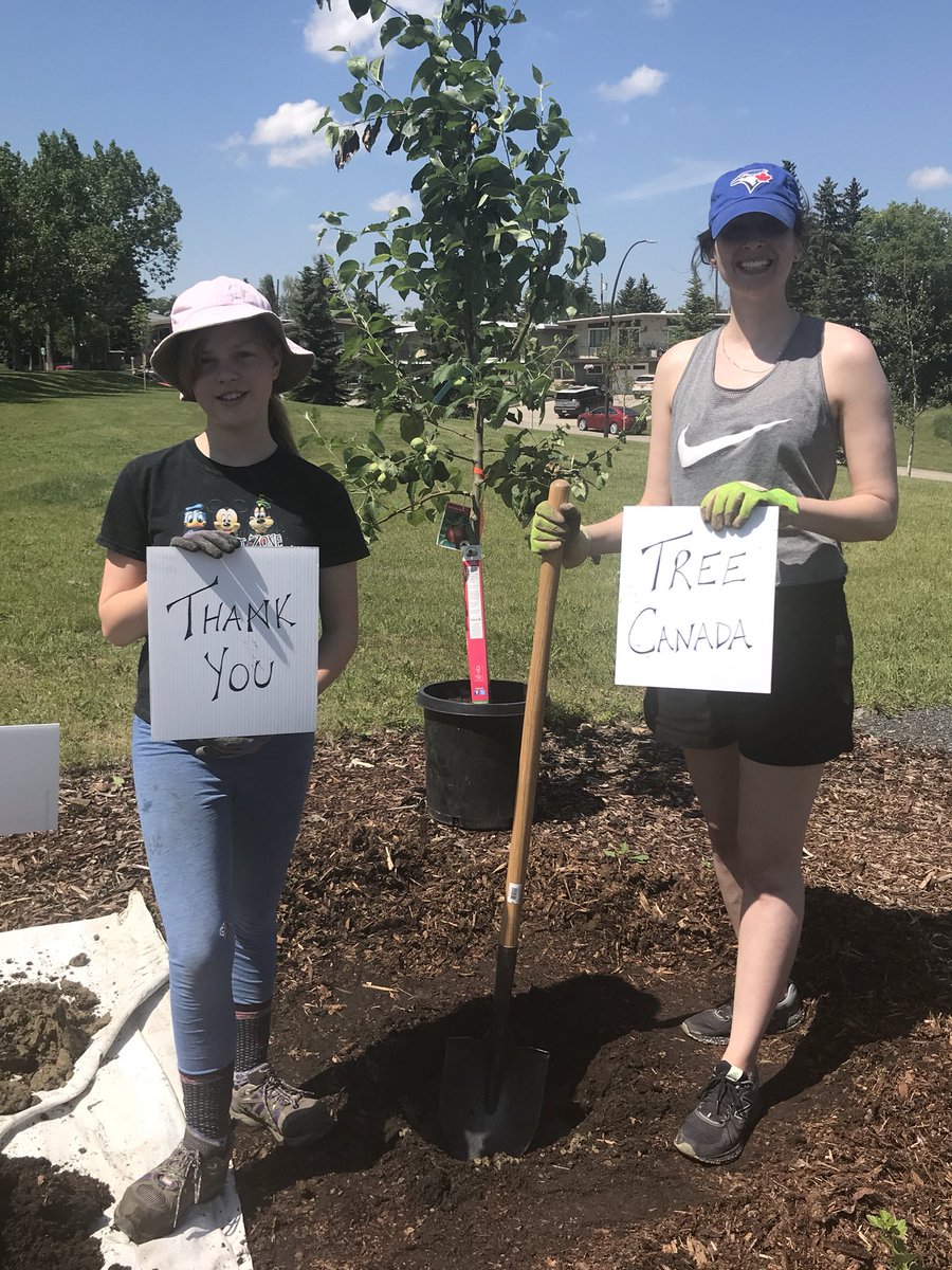 lhzmulder's tweet photo. .@RenfrewCA would like to thank @TreeCanada and @northbridgeins for sponsoring our @RCAGarden1 Edible Tree Forest!!  We are so excited to see this project come to fruition!! https://t.co/KvfUAJYTlQ
