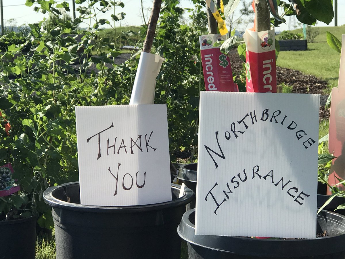 lhzmulder's tweet photo. .@RenfrewCA would like to thank @TreeCanada and @northbridgeins for sponsoring our @RCAGarden1 Edible Tree Forest!!  We are so excited to see this project come to fruition!! https://t.co/KvfUAJYTlQ