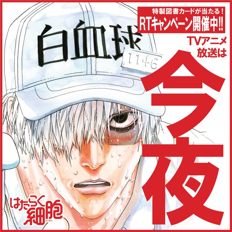 細胞に萌える時代がきたか はたらく細胞 1話は血小板が可愛すぎて白血球がかっこいい Togetter