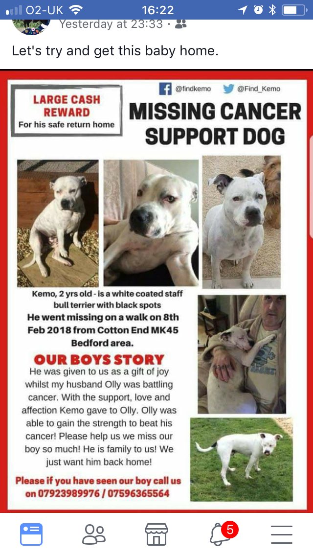 Jayne36471550's tweet photo. Please please who ever you are bring this baby boy home you have no right in keeping him he needs his family and they need him for Christ sake End this poor family’s heartache and let Kemo come home they are breaking their hearts we will find you Kemo and never stop till we do.xx https://t.co/0T4qQjhIC1