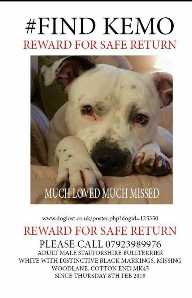 Jayne36471550's tweet photo. Please please who ever you are bring this baby boy home you have no right in keeping him he needs his family and they need him for Christ sake End this poor family’s heartache and let Kemo come home they are breaking their hearts we will find you Kemo and never stop till we do.xx https://t.co/0T4qQjhIC1
