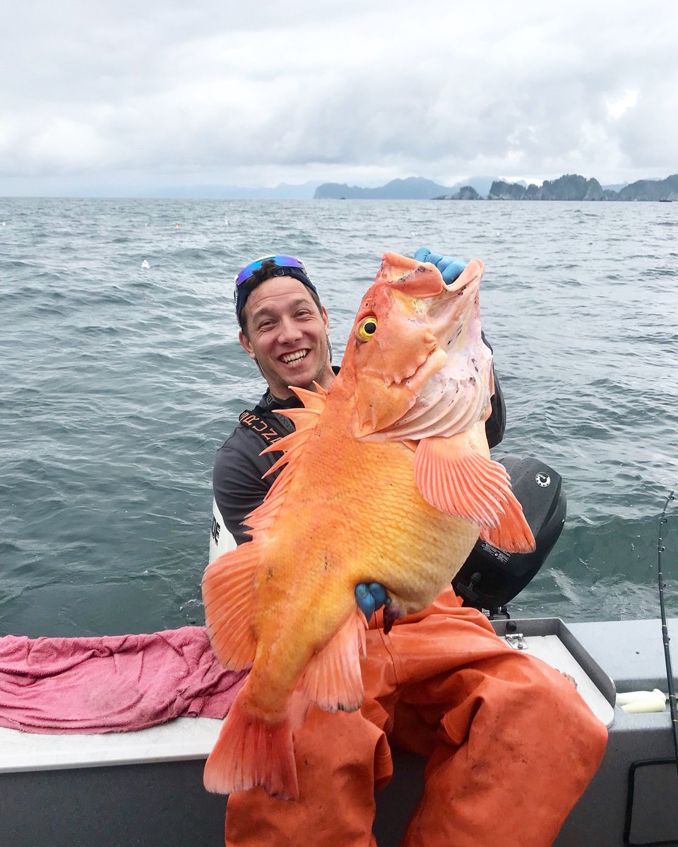 Andrew Kurka (@andrew_kurka) on Twitter photo New Personal best Yelloweye Rockfish today. Out of Seward Alaska! #bigfish #personalbest #rockfish #itsakeeper New Personal best Yelloweye Rockfish today. Out of Seward Alaska! #bigfish #personalbest #rockfish #itsakeeper