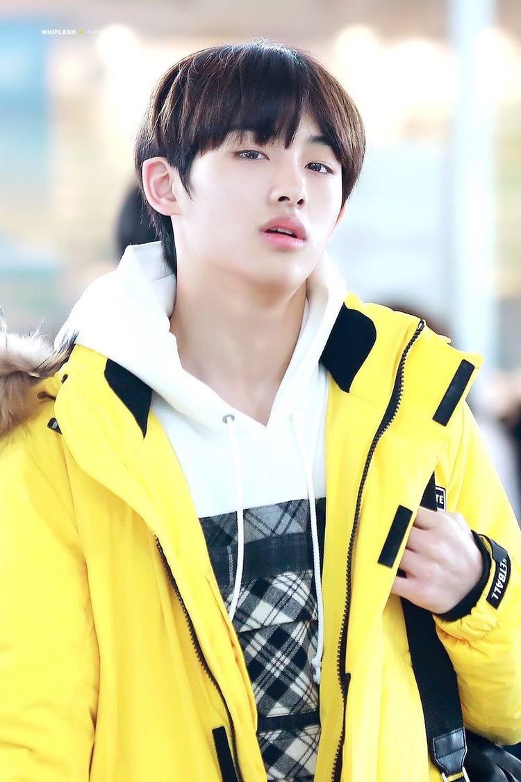 น้องไข่aesthetic tweet media