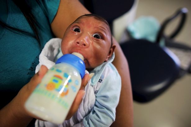 Vaccines12's tweet photo. Zika virus vaccines: Congenital Zika syndrome, characterized by malformations and microcephaly in neonates as well as developmental challenges in children, highlights the need for the development of a safe and effective vaccine. Multiple vaccine candidates have been developed. https://t.co/ebhGeUX49D