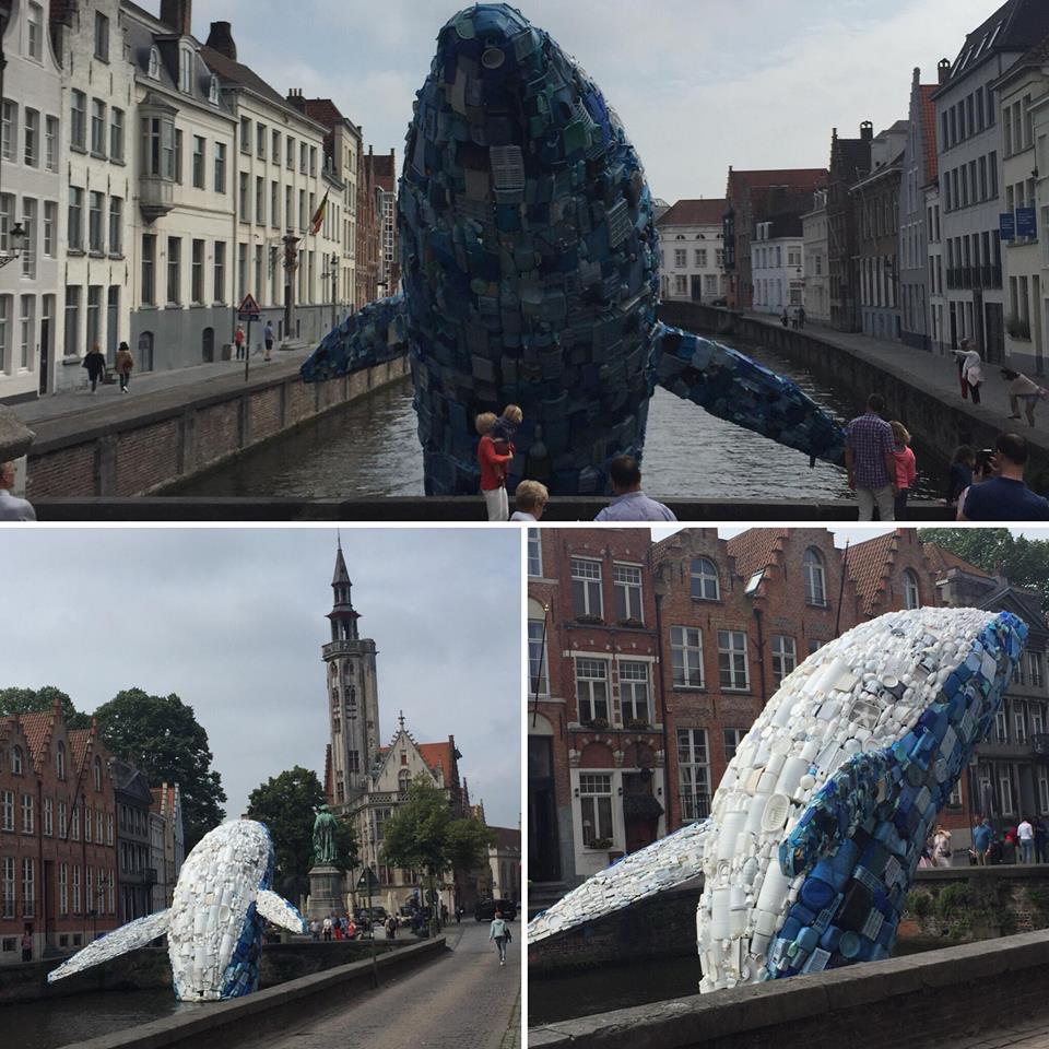 European Youth ❤️🇪🇺 tweet media