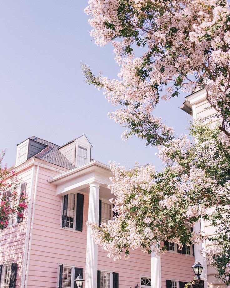 น้องไข่aesthetic tweet media