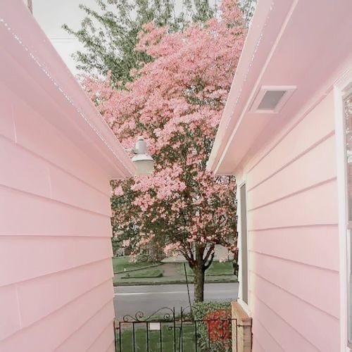 น้องไข่aesthetic tweet media
