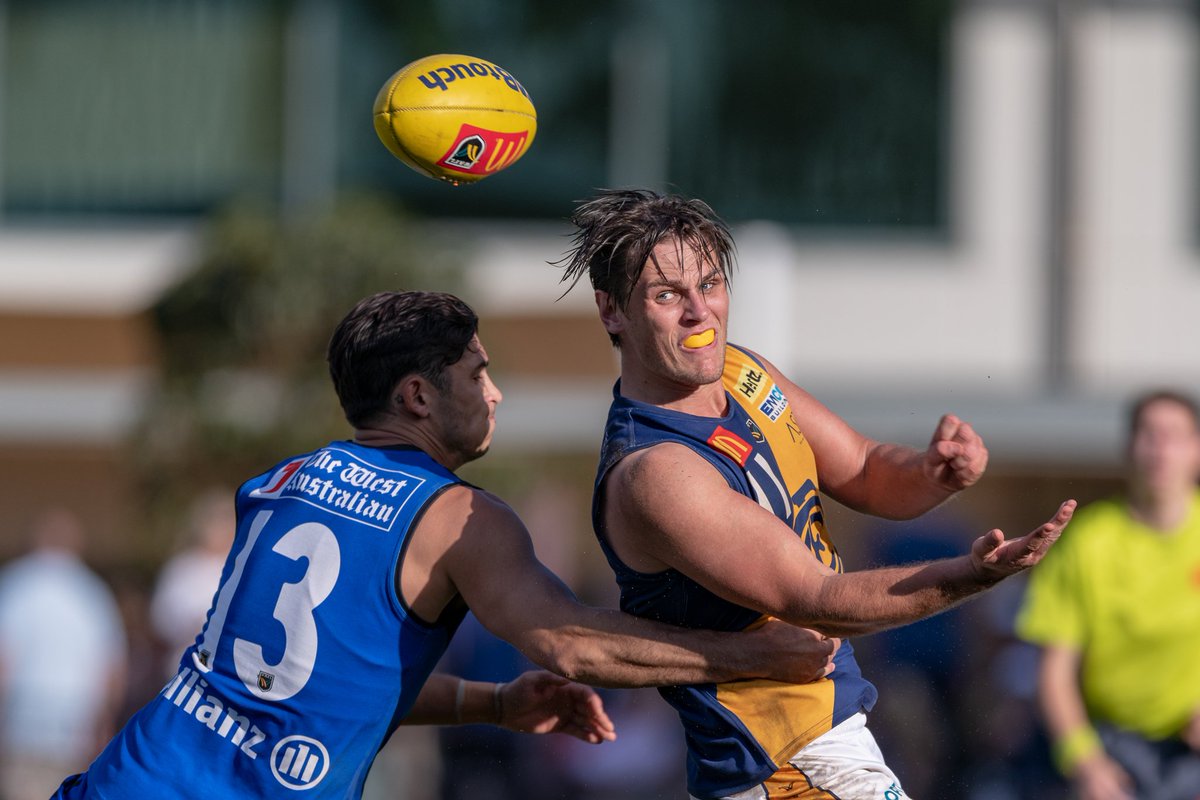 WAFLOfficial's tweet photo. The @TAB_touch team for Round 12 is in! Check out which players made the cut ππ https://t.co/Tt6hobJtZW #wearewafl #waflisback https://t.co/3QX29iapl4