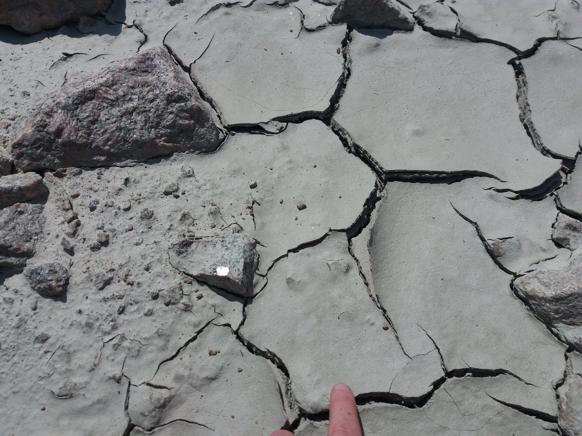 SedberghGeology's tweet photo. Excellent day y'day with @SedberghSchool #Alevel #geology students. #Magmatic evolution of Shap #Granite, lunch @shapwells (nice #AngularUnconformity), relative dating at School House Quarry & evening dip in Derwent Water. More #fieldwork today. #notjustlakes https://t.co/KgQSLGAico