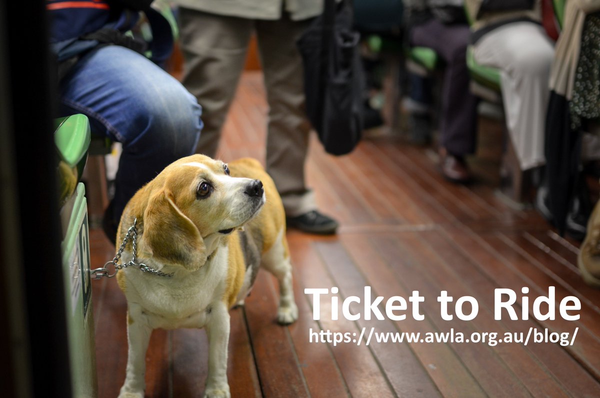 AWL_Australia's tweet photo. Pets on public transport? Happens elsewhere. Why not here?
https://t.co/JJvPIlkFHt https://t.co/iVxAb46lHx