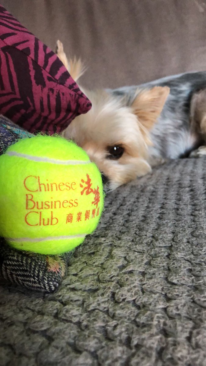 ImediatServices's tweet photo. Your private agency worldwide #China #Chinese #chinese @chinesebusinessclub #eventprofs #EventManagement #event #VIP #vippartner #travel #LuxuryTravel #luxurylifestyle #limoservices #carservices #luxurycars #WomeninBusiness #corporate #corporateevents https://t.co/BXq9EsGHz5