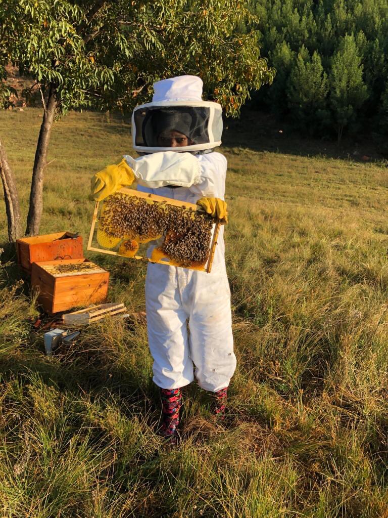tweepstofollow's tweet photo. Native Nosi, is owned by a black female beekeeper (yes, how boss?). They specialize in the production of pure raw South African honey. Mokgadi Mabela, the owner, works with her family to deliver deliciously unaltered sweet honey.
Follow them here: @NativeNosi
#TweepsToFollow https://t.co/jjMmbeQKa4