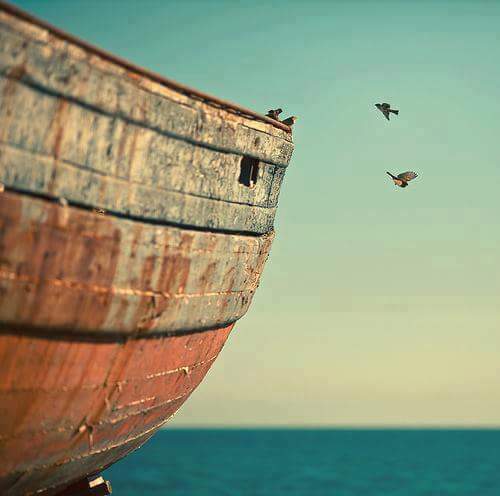 kenzy_dodi's tweet photo. {{قانون للحياة :
بقدر الطموح يهب الله القدرة والقوة ..
الله لا يكلف نفسٱ إلا وسعها}} https://t.co/6e0yx33c0Z