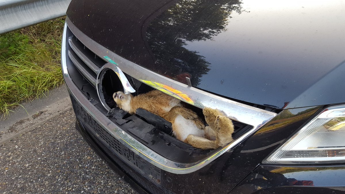 Roger Rabbit is niet meer #A58