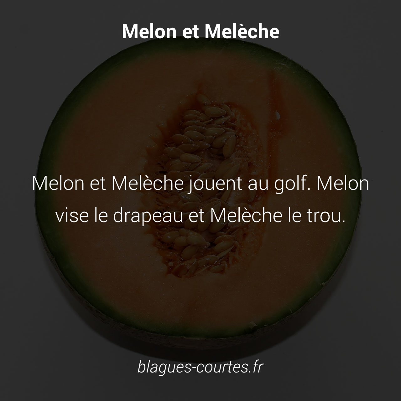 Blagues courtes on Twitter "Blague Melon et Melèche jouent au golf