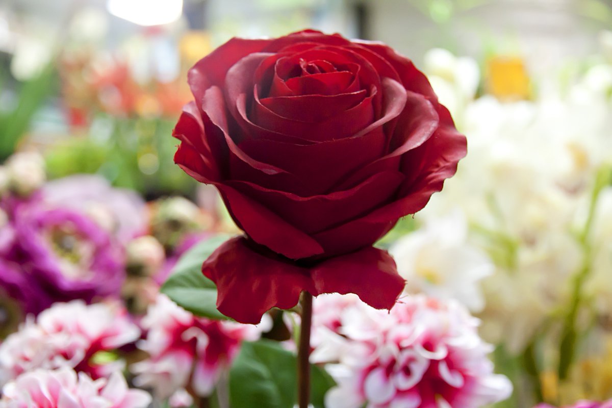 ¡Buenos días! Os esperamos otro día más en el #MercatdeSantaCatalina con todo listo para llenar tu carro de la compra…