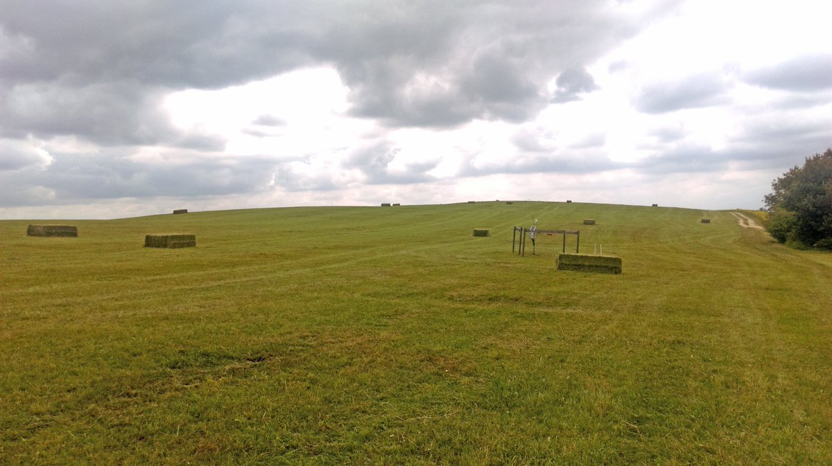 BExplo_de's tweet photo. Hard times for #insects: almost all experimental plots in the #AlbExploratory are mowed. (^ALB) https://t.co/OFGQBKxNhN