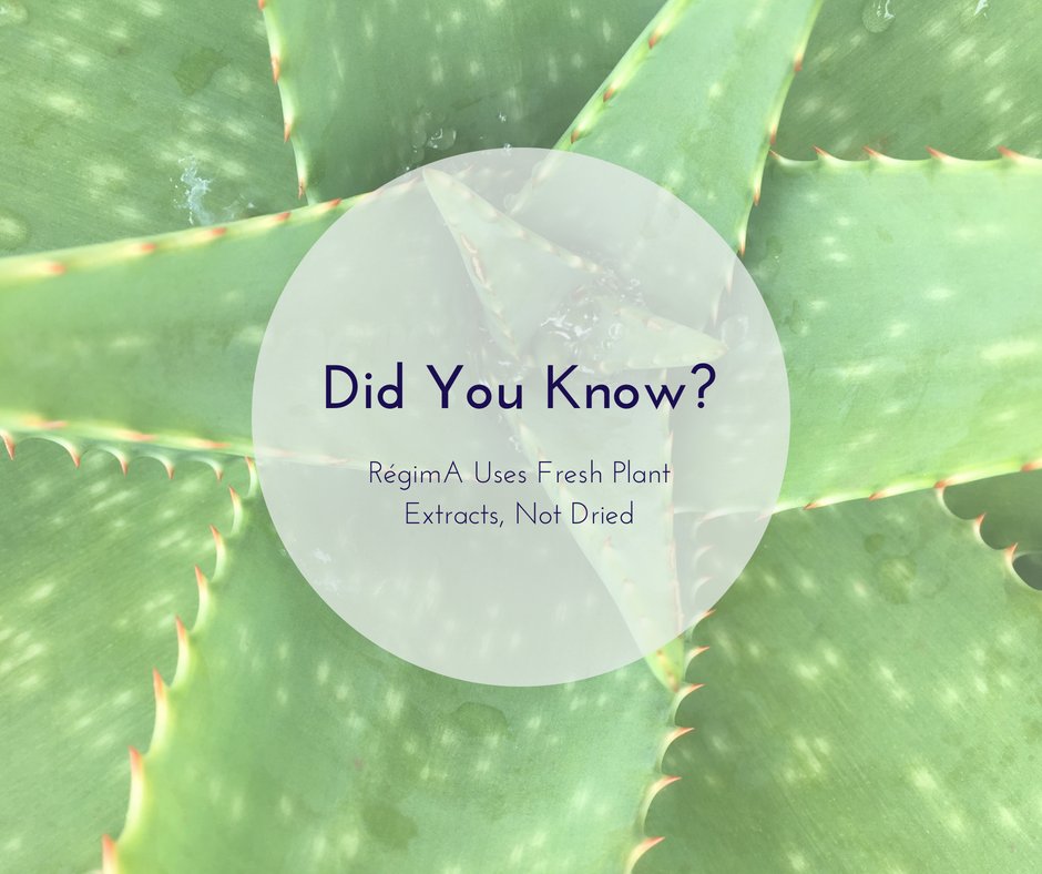 RegimaZone's tweet photo. Did you know we only use Fresh Extracts?
#Regima #Natural #skincare #beauty https://t.co/tsO5NpuKwo