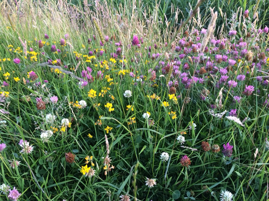 Finding it hard with this wonderful weather to plan the next few weeks work. Crazy busy with curtain work, alterations and summer workshops! #inspiration #sewing #summer #holidays