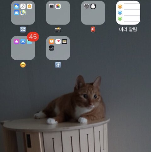 someone asked abt daniel's wallpaper (AND OFC ITS ROONEY DUH) and another one told him peter must be upset abt it and asked for her pic (BLESS)his caption for peter: hoooaamsmh dont u have a prettier pic of ma girl this is why she hates u >:cpeter isnt an easy girl i love her