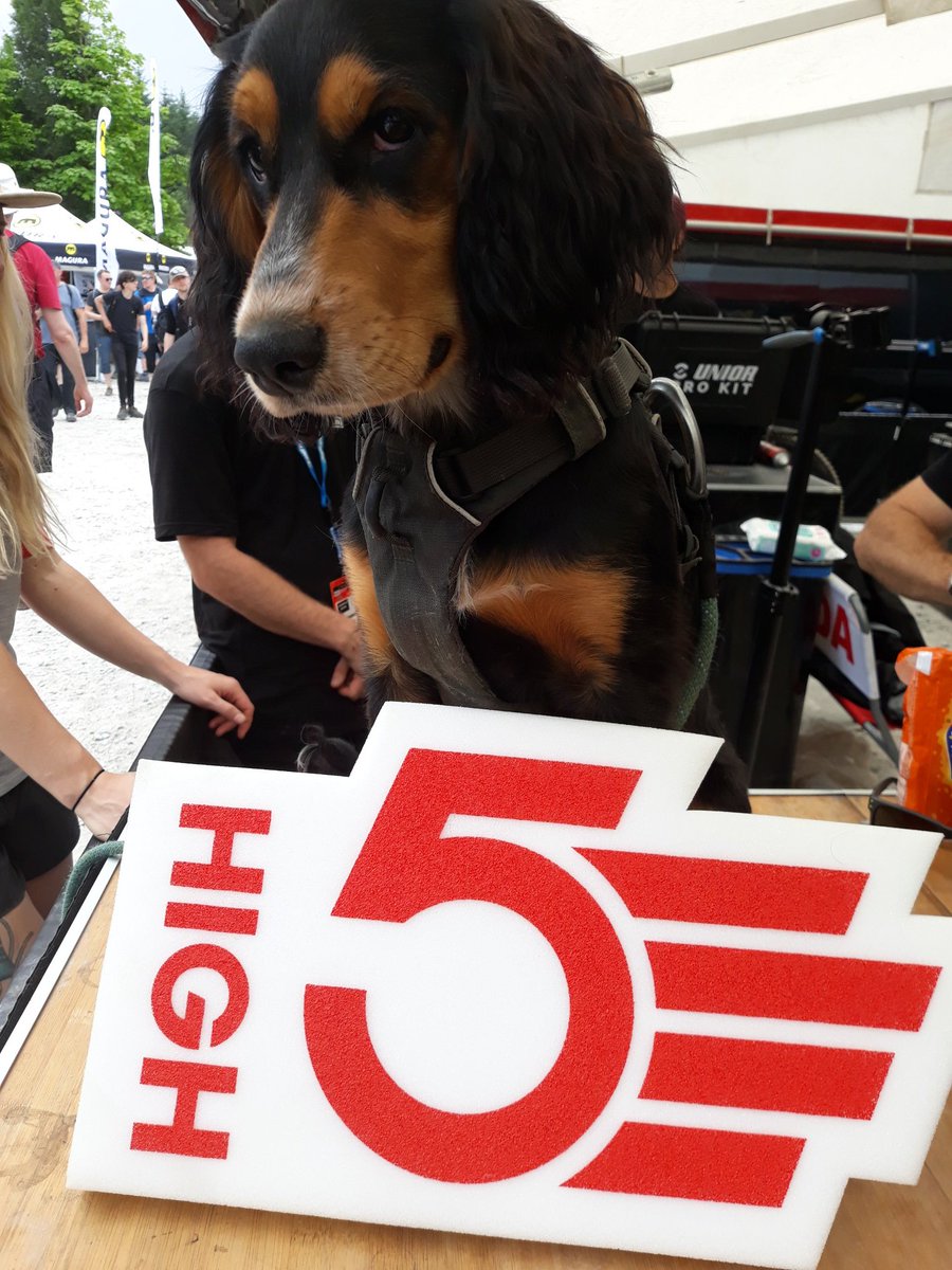 That look when you just need a HIGH5... #DogsNeedHIGH5sToo