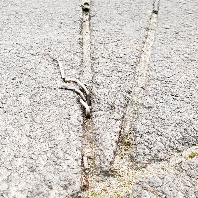 ishryal's tweet photo. Sometimes it's hard
For us to break free,
Of the roles on you,
Or the ones on me.
We struggle and split
And break apart,
And we tend not to work
Like we did at the start.
#brokenwire #road #wire #wednesdaywisdom #twitter https://t.co/Gtw4XLjGMo https://t.co/mym5nZWzOK