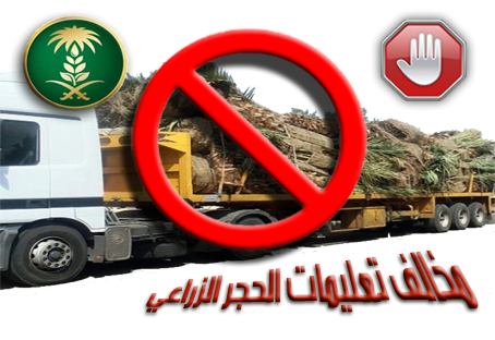Saudi Food Authority