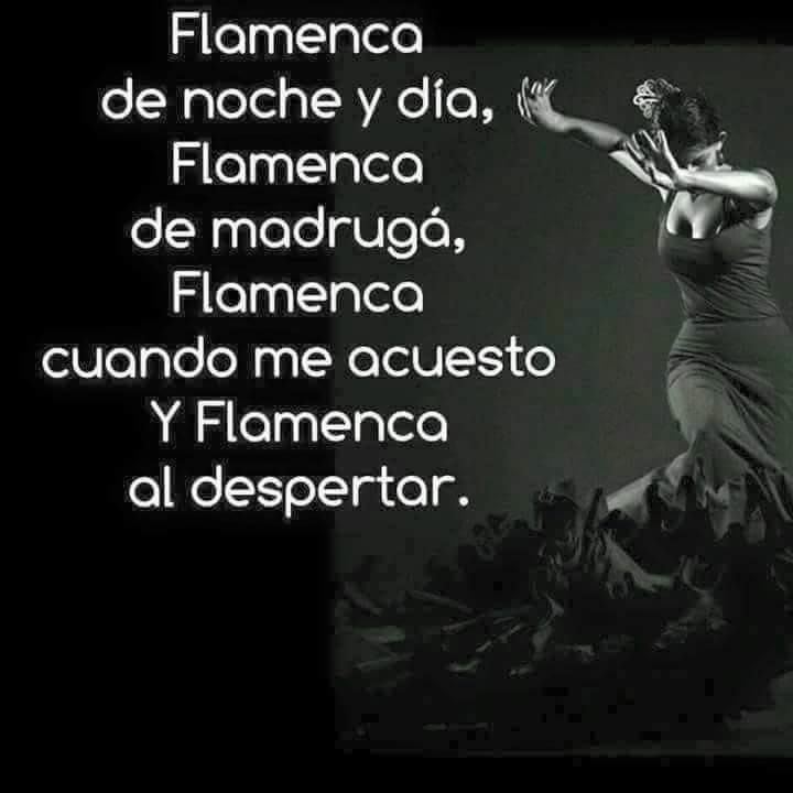 Frases Flamenco tweet media