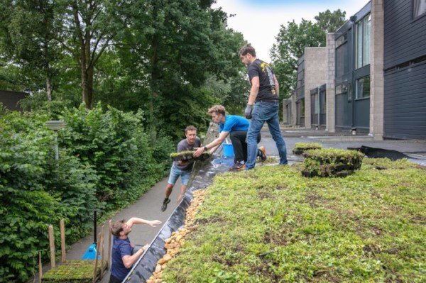 vakbladh2o's tweet photo. De bewoners van een wijk in Rosmalen leggen 65 daken aan om wateroverlast en hittestress tegen te gaan. De omvang van het bewonersinitiatief is uniek voor Nederland.
https://t.co/KuUSrhp4fc https://t.co/qQTOXvgA2B