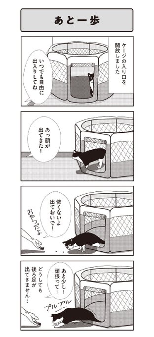 猫劇場 を含むマンガ一覧 リツイート順 2ページ ツイコミ 仮 猫劇場 を含むマンガ一覧 リツイート順 2ページ ツイコミ 仮