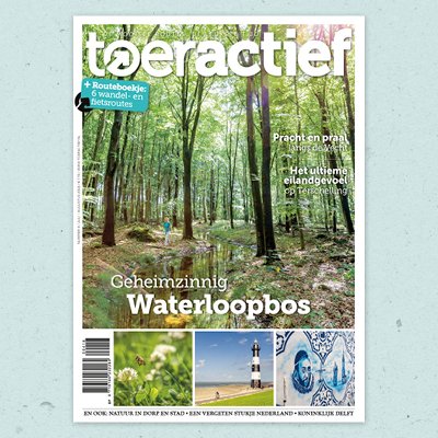 Toeractief tweet media