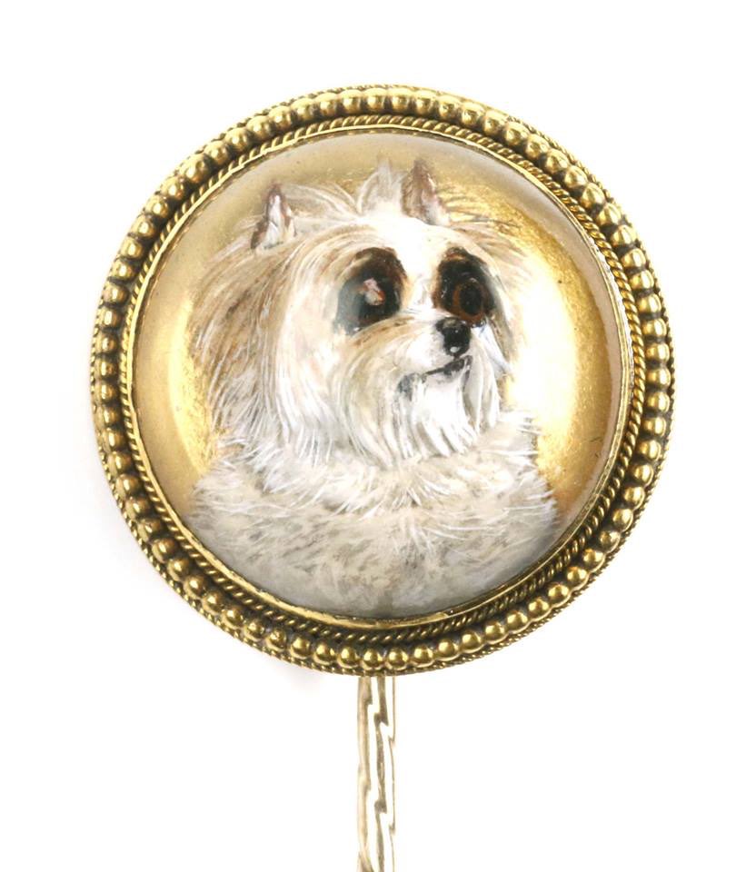 Dit hondje kan vanmiddag van u zijn en hoeft u nooit uit te laten! Ga naar onze ZOMERVEILING EN BIED VANMIDDAG 27 JUNI venduehuis.com